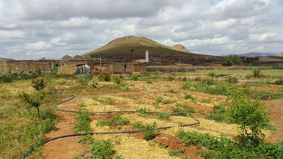 Combinant l’agroécologie et la pédagogie au Maroc | The Switchers
