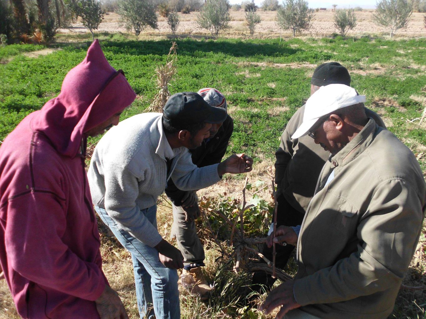 Combinant l’agroécologie et la pédagogie au Maroc | The Switchers