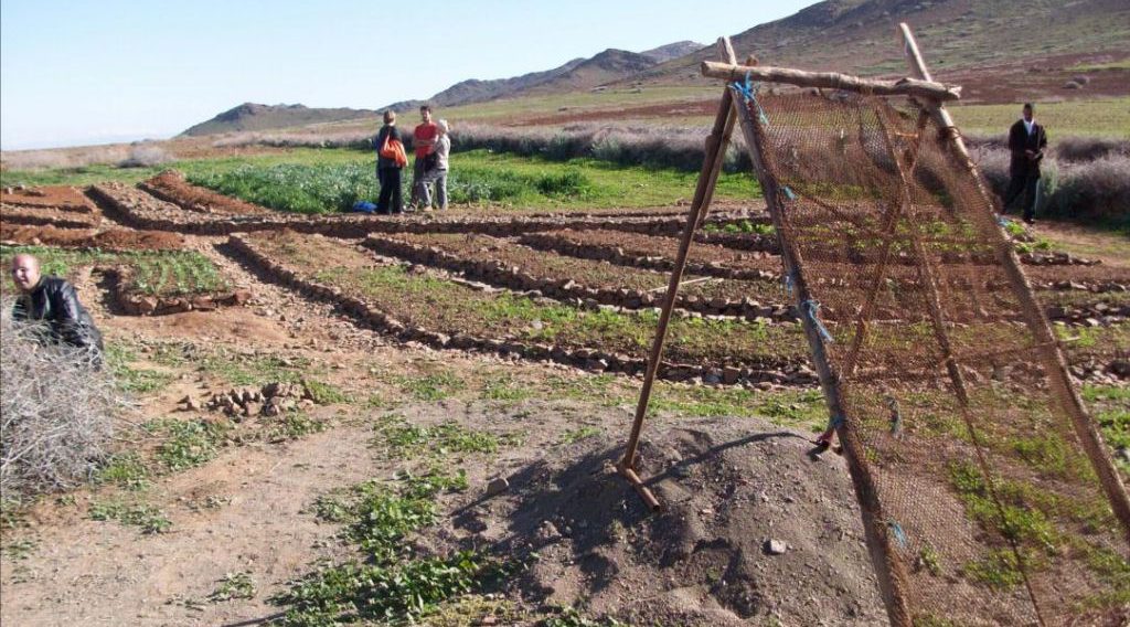 Combinant l’agroécologie et la pédagogie au Maroc | The Switchers