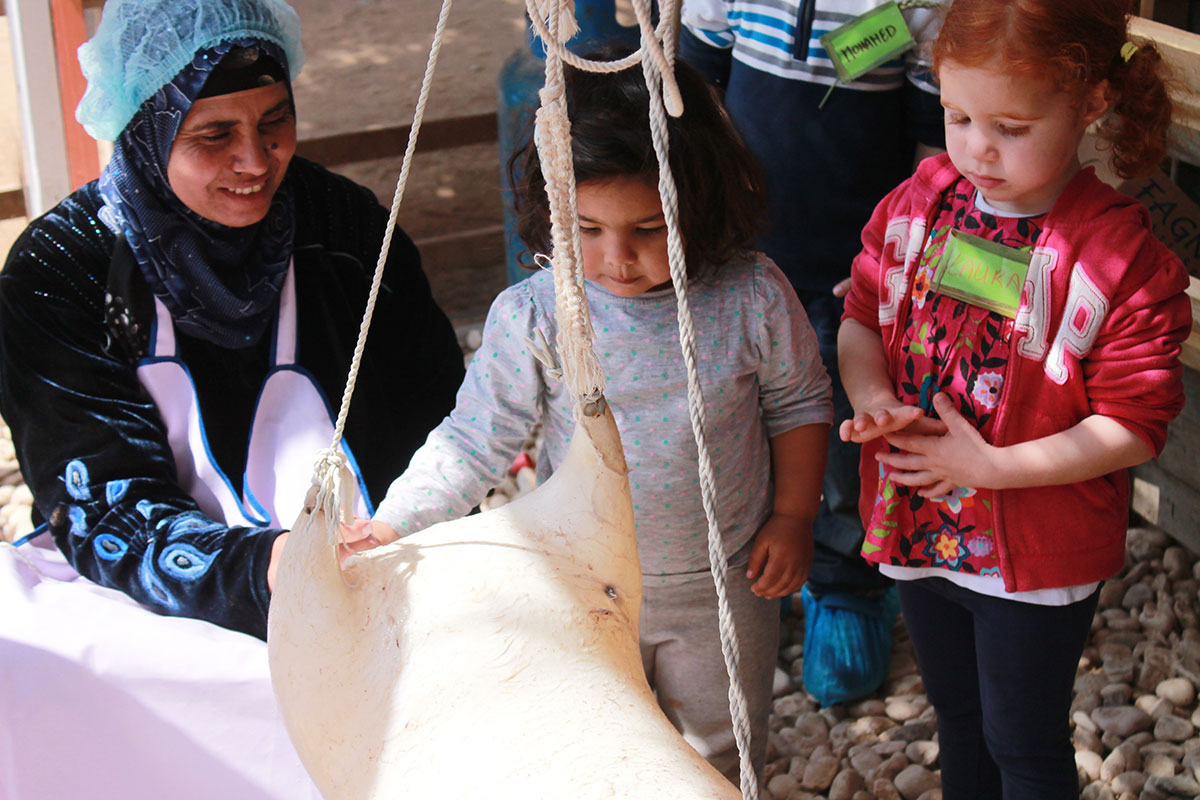 Vers des pratiques agricoles durables en Égypte | The Switchers