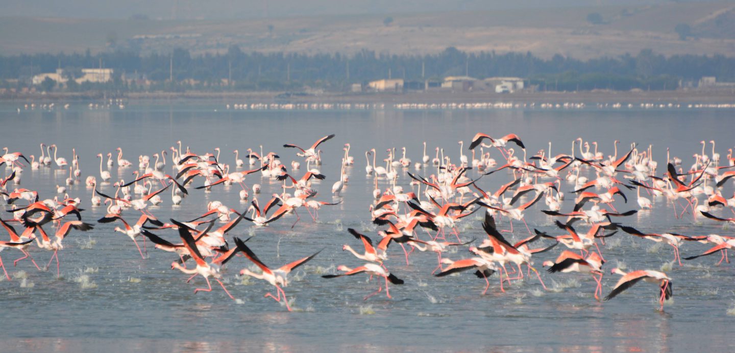 La formation des guides touristiques de demain pour une Algérie plus durable. | The Switchers