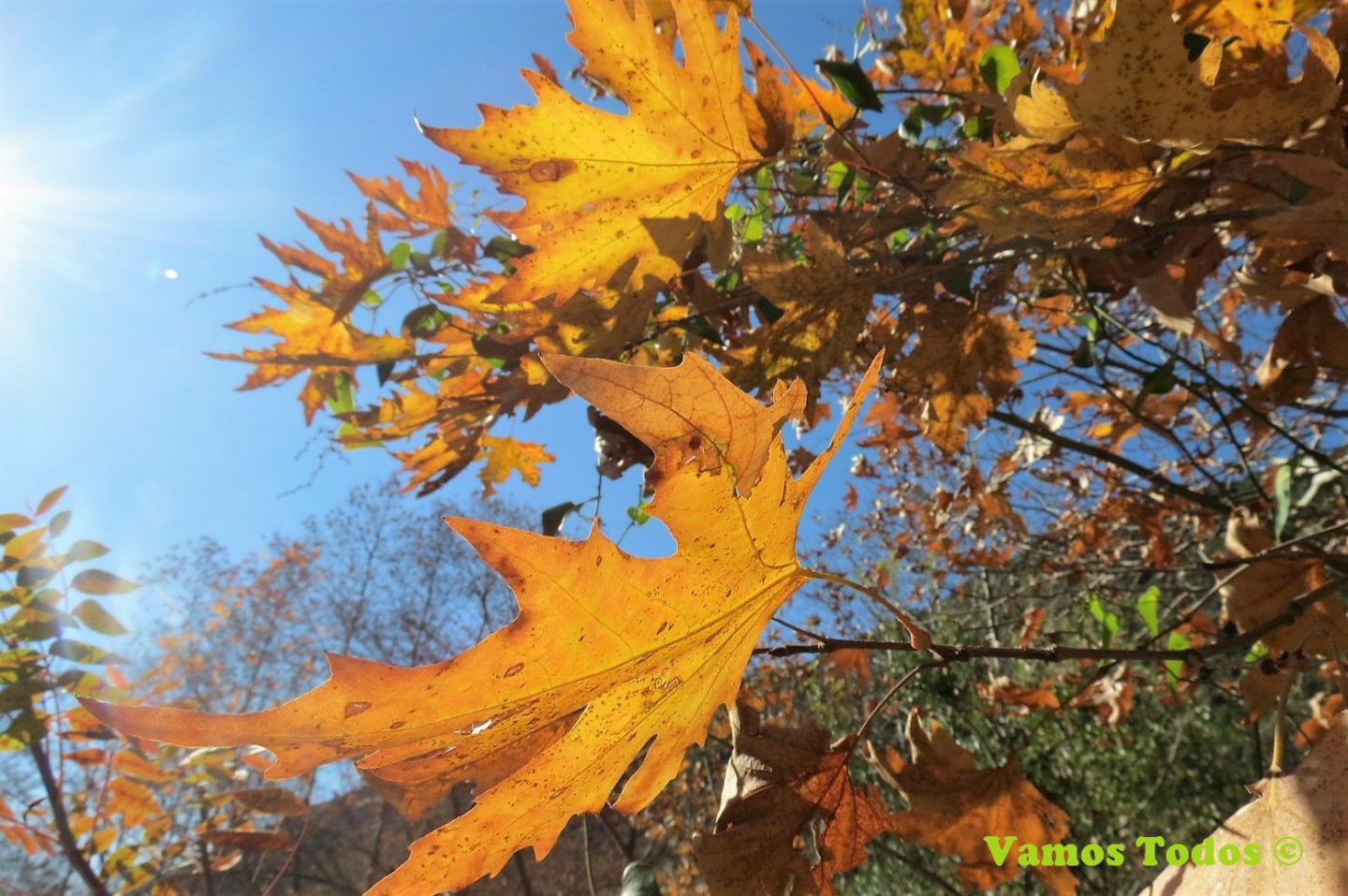 A shared nature experience in Lebanon | The Switchers