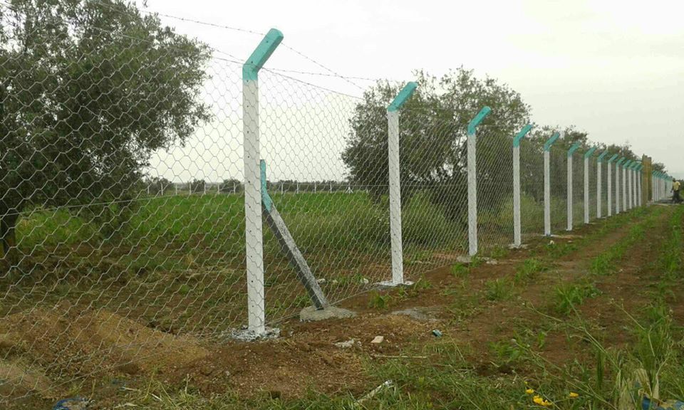 Morocco is reviving the agricultural system with floating solar panels | The Switchers