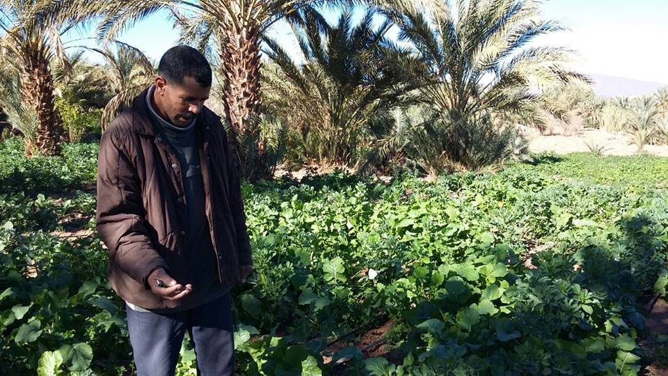 Le Maroc revigore le système agricole avec des panneaux solaires flottants | The Switchers