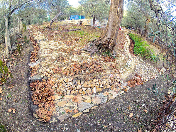 This entrepreneur is paying tribute to the fertile land of Palestine | The Switchers