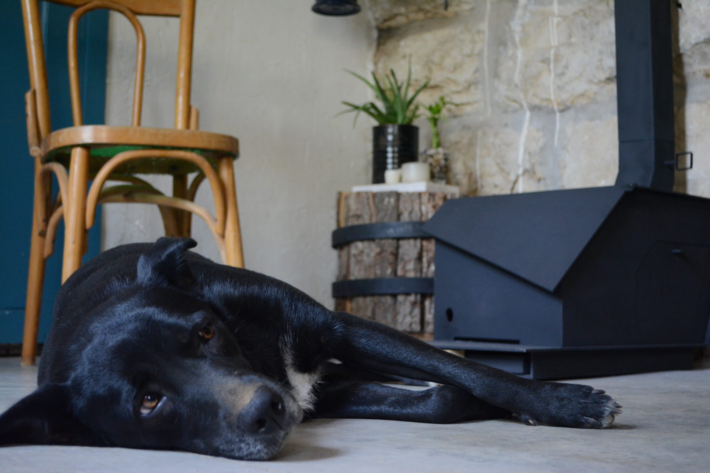 This Lebanese initiative is bringing stoves back in an eco-friendly design | The Switchers