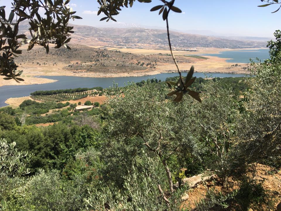 How an agroecological approach is helping save this Lebanese family farm | The Switchers