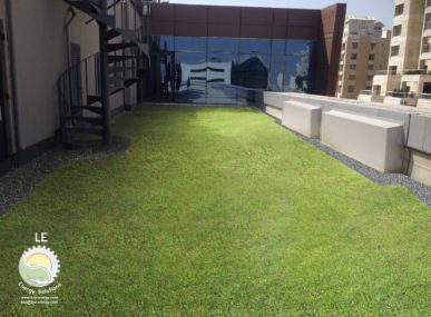 An example of what a Lina Energy green roof could look like