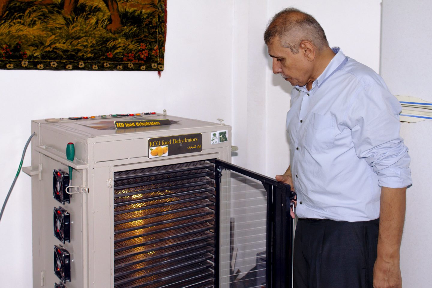 Food security through dehydrators: a revised ancient food preservation technique | The Switchers