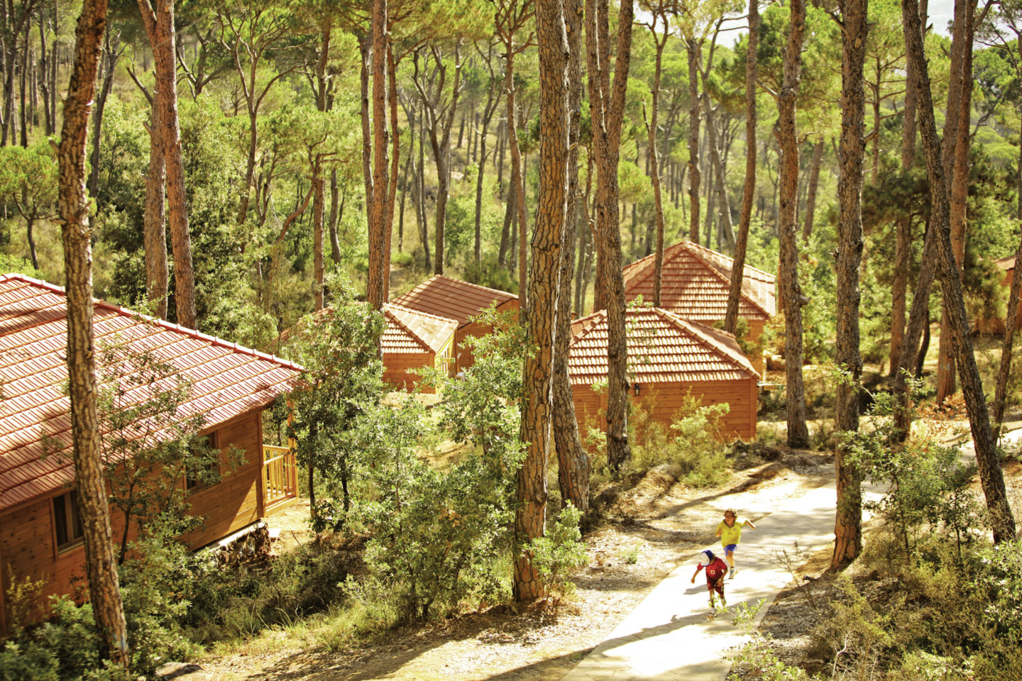 Le tourisme durable s’invite dans le plus grand espace vert du Liban | The Switchers