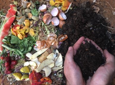 Compost Baladi is helping businesses and individuals across Lebanon to manage organic waste
