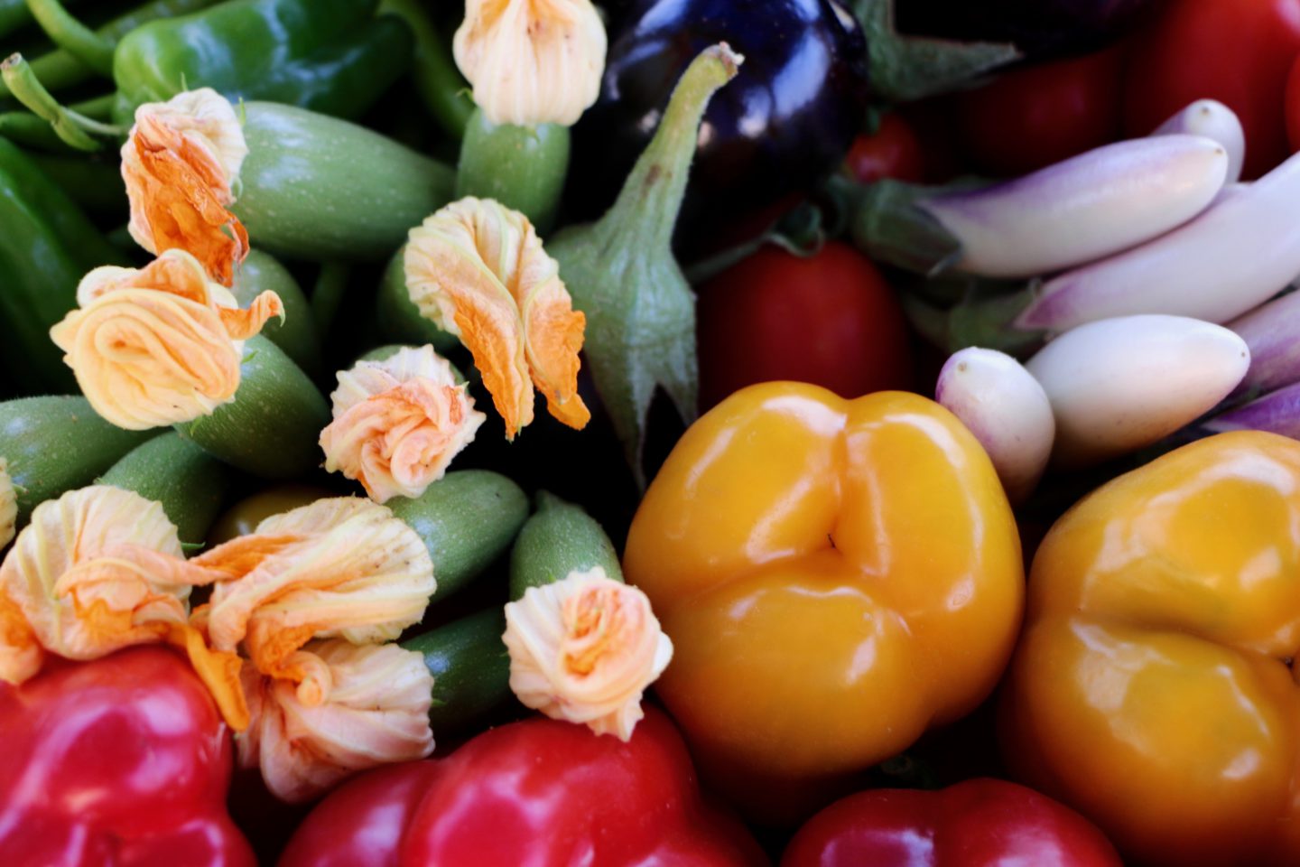 Une ferme biologique remplit les assiettes égyptiennes de fruits et légumes sains | The Switchers