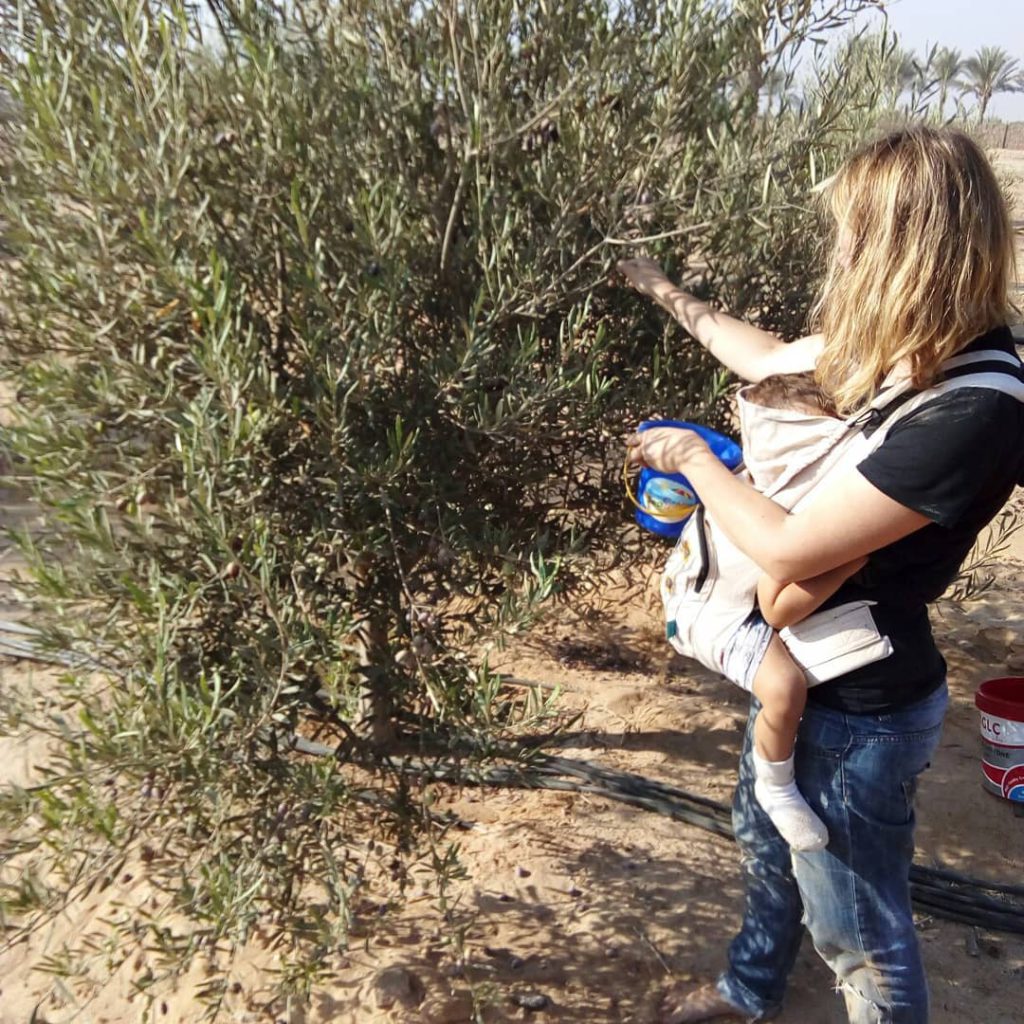 ‘Going green’ and ‘eating clean’ are highly encouraged by this Egyptian initiative | The Switchers