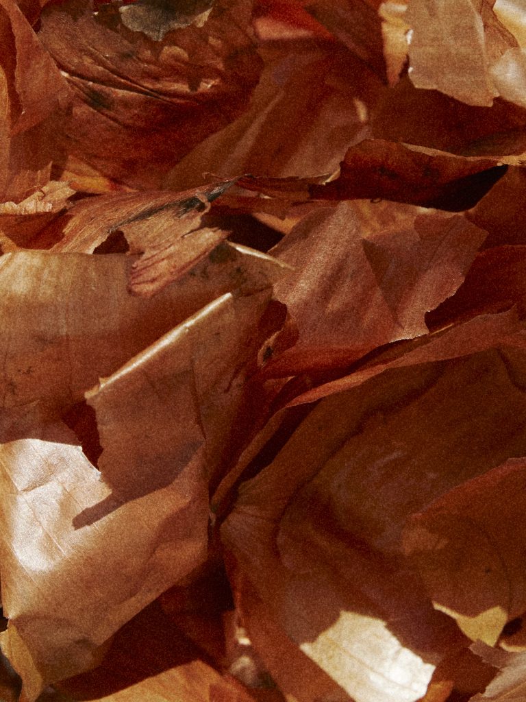 De la fast fashion à la couture compostable : repenser les textiles avec les déchets agricoles | The Switchers