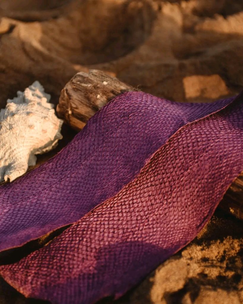 MERSKIN donne une seconde vie aux peaux de poisson dans l’industrie de la mode durable en Algérie | The Switchers