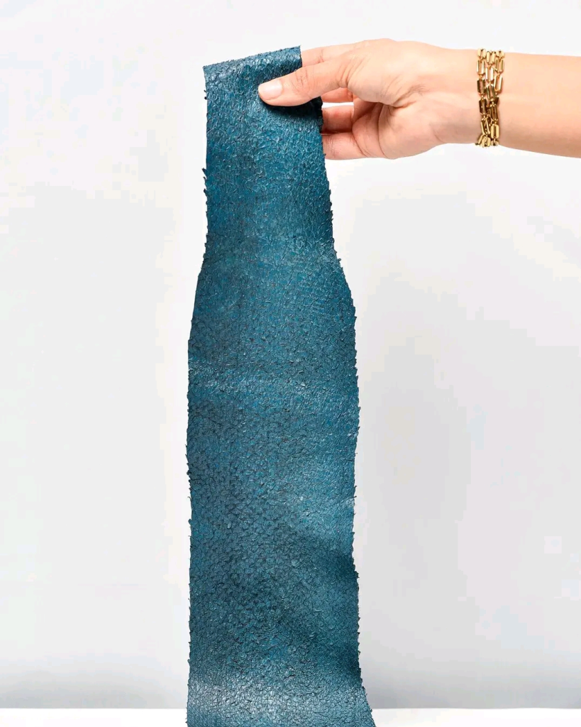 MERSKIN donne une seconde vie aux peaux de poisson dans l’industrie de la mode durable en Algérie | The Switchers